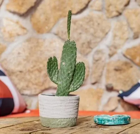 La Du Huga N°2 Lacanau