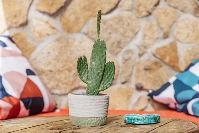 La Du Huga N°2 Lacanau